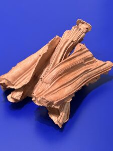 PALPITAR COMO CUERPO