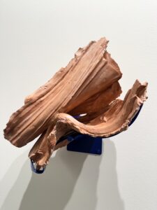 PALPITAR COMO CUERPO