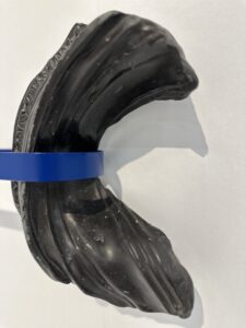 PALPITAR COMO CUERPO